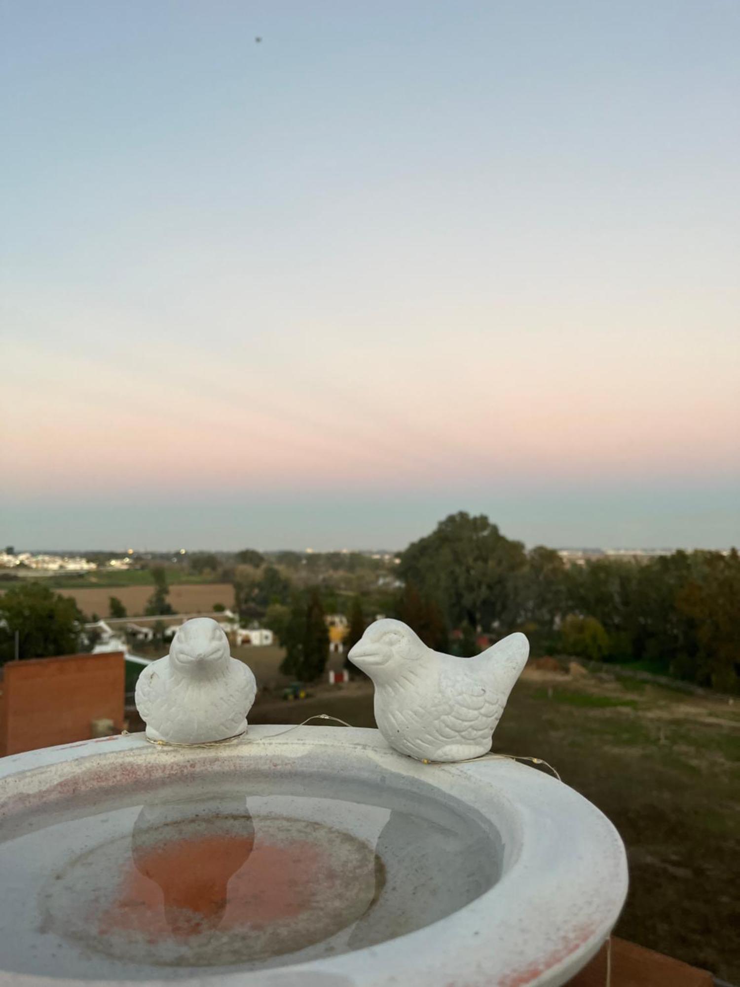 Puebla del Río Estudio Las Palmillas מראה חיצוני תמונה